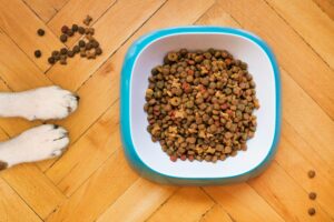 Myths About Pet Food​